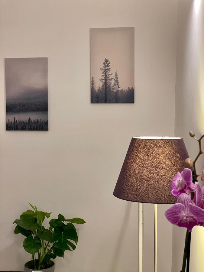 C&Y Apartments - Roma Prati - Luxury Double Studio With Kitchen Exteriör bild